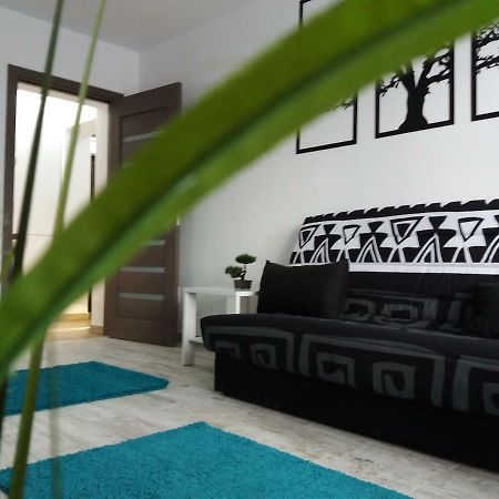 Apartament Elefant Tg. Ocna Apartment Tirgu Ocna Ngoại thất bức ảnh