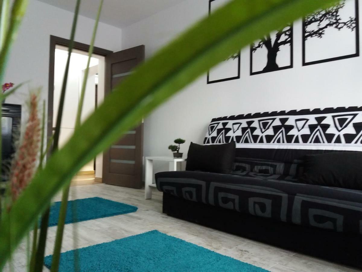 Apartament Elefant Tg. Ocna Apartment Tirgu Ocna Ngoại thất bức ảnh